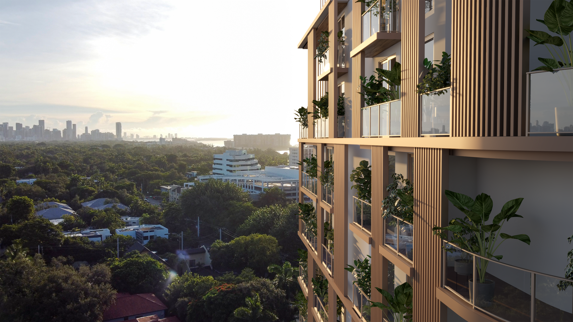 image 16 of The Lincoln Coconut Grove