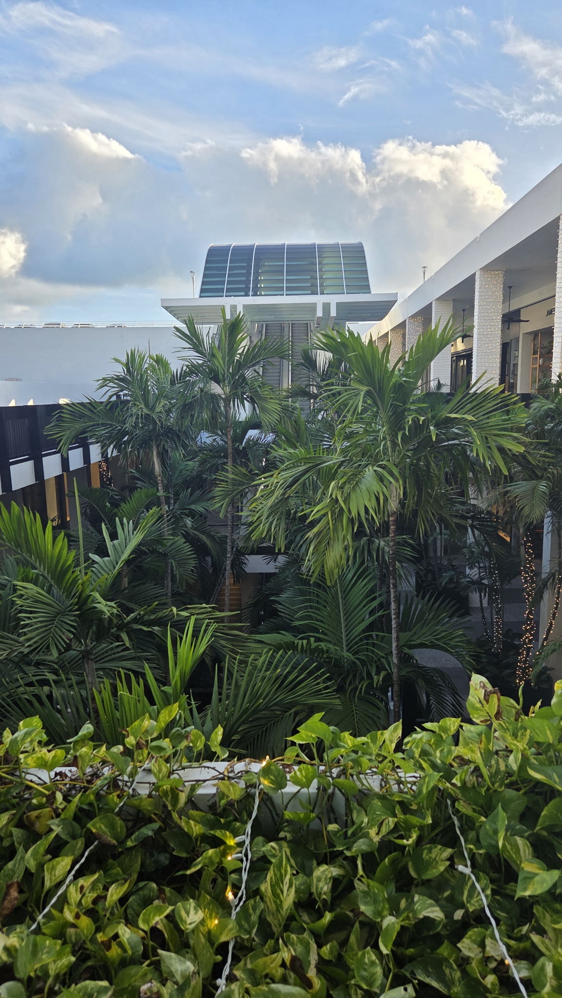 photo of agent, Vinicius Souza